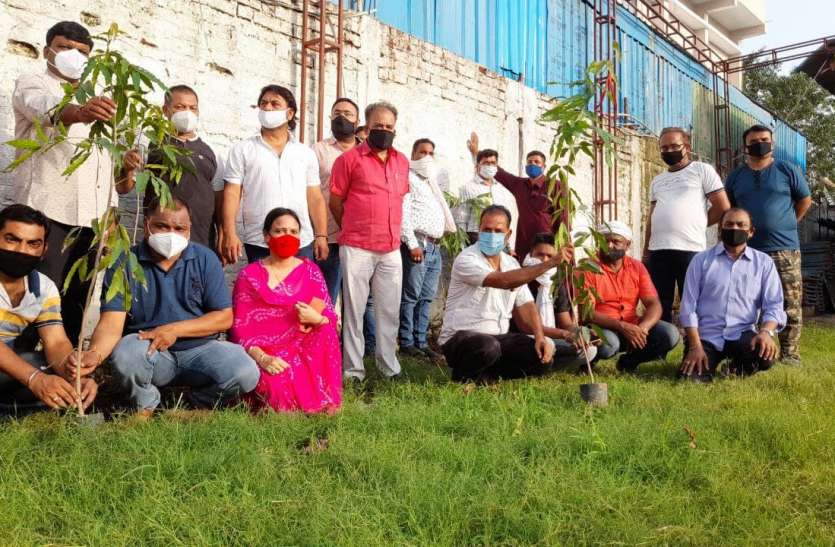 patrika plantation campaign पत्रिका पौधरोपण अभियान व्यवसायियों ने लगाए पौधे संरक्षण का किया वादा