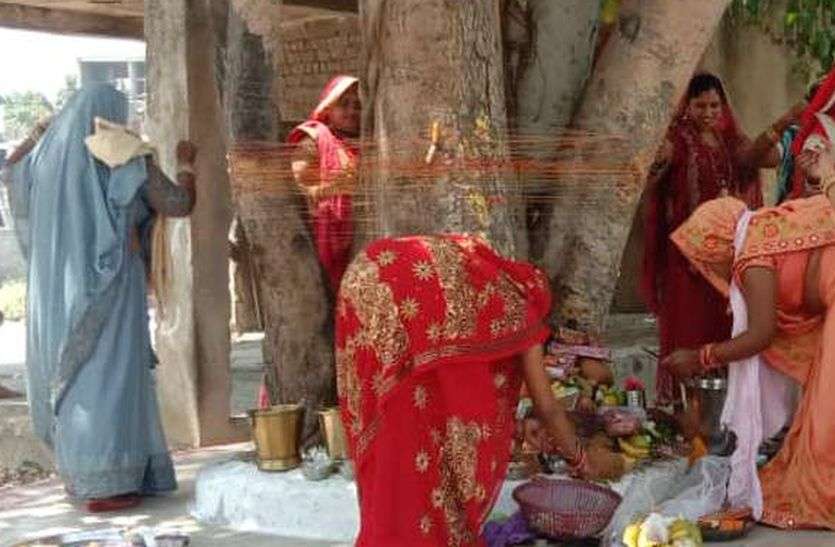 वट सावित्री अमावस्या आज: बड़ की पूजा कर उपवास कर रही महिलाएं, खास है आज का दिन वट सावित्री अमावस्या आज: बड़ की पूजा कर उपवास कर रही महिलाएं, खास है आज का दिन