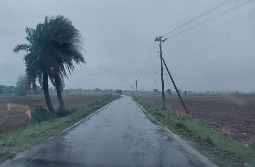 साढ़े 11 घंटे हुई बारिश ने डाला खेती कार्य में रूकावट, निचले इलाकों में भरा पानी साढ़े 11 घंटे हुई बारिश ने डाला खेती कार्य में रूकावट, निचले इलाकों में भरा पानी