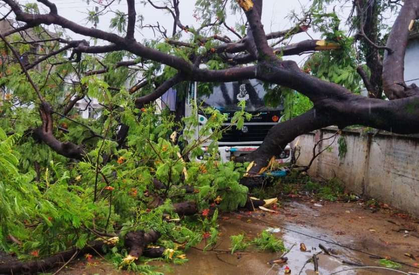 Trees uprooted in torrential rain, electric wires fell, system deraile मूसलाधार बारिश में पेड़ उखड़े, बिजली के तार गिरे, व्यवस्था बेपटरी
