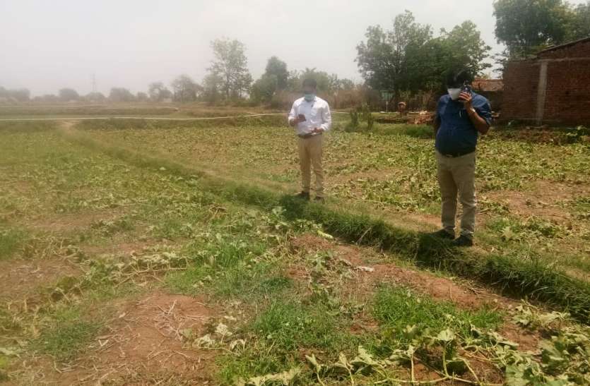 Poor system: Revenue staff did not reach the ridges of the fields, did लचर व्यवस्था: खेतों की मेढ़ तक नहीं पहुंचा राजस्व अमला, क्षतिग्रस्त मकानों का नहीं सर्वेक्षण
