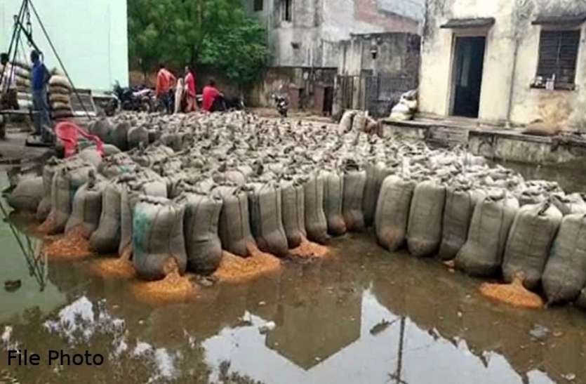dhan.jpg छत्तीसगढ़ : सरकार के दावों की खुली पोल, मानसून सिर पर, बर्बादी की ओर करोड़ों के धान