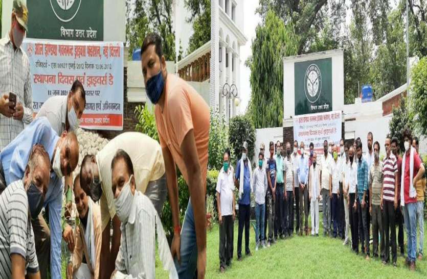 ऑल इंडिया ड्राइवर फेडरेशन ने मनाया स्थापना दिवस, लगाए गए पीपल की पौध ऑल इंडिया ड्राइवर फेडरेशन ने मनाया स्थापना दिवस, लगाए गए पीपल की पौध