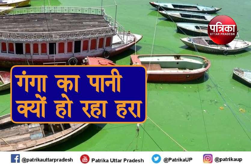 Investigation Committee Important Disclosure On Green Water Of Ganga विंध्यांचल एसटीपी से बहकर गंगा में आया था हरा शैवाल, पानी हरा होने के कारणों का प्रदूषण नियंत्रण बोर्ड ने किया खुलासा