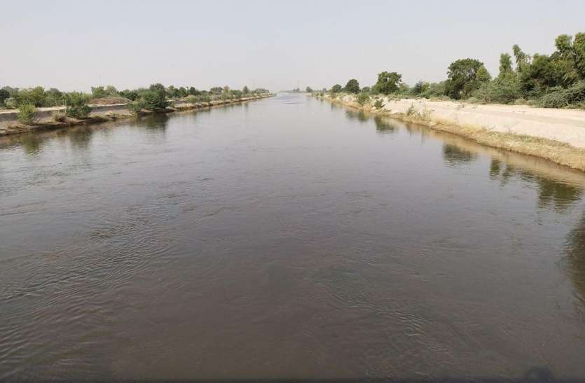 इंदिरागांधी नहर में प्रवाहित पानी कितना प्रदूषित, जयपुर लैब में चलेगा पता इंदिरागांधी नहर में प्रवाहित पानी कितना प्रदूषित, जयपुर लैब में चलेगा पता