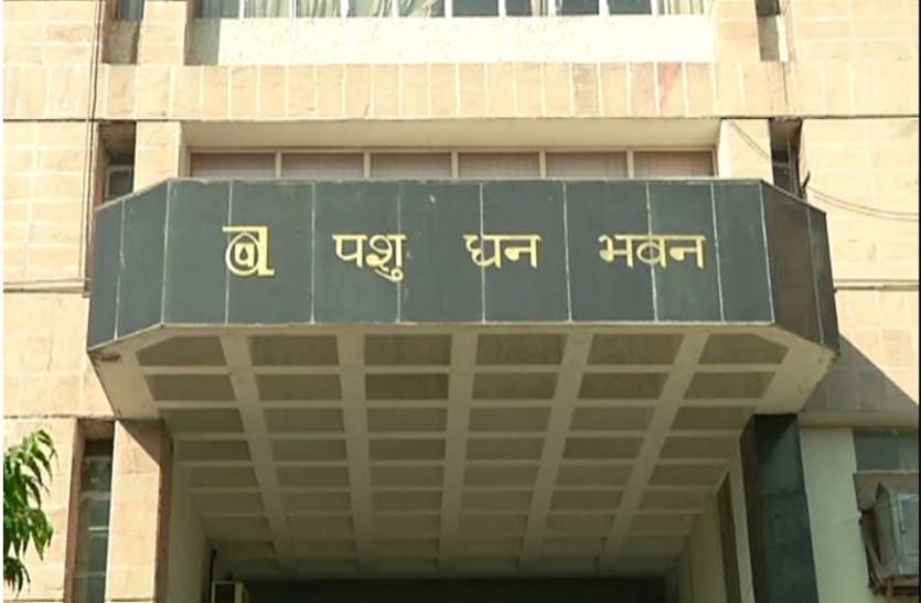 भर्ती प्रक्रिया पूरी करने की मांग भर्ती प्रक्रिया पूरी करने की मांग