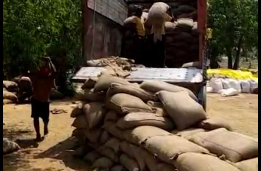centers : 20 thousand quintals of wheat soaked at the centers बारिश में केन्द्रों पर भीगा 20 हजार क्विंटल से ज्यादा गेहूं, कलेक्टर ने लगाई फटकार