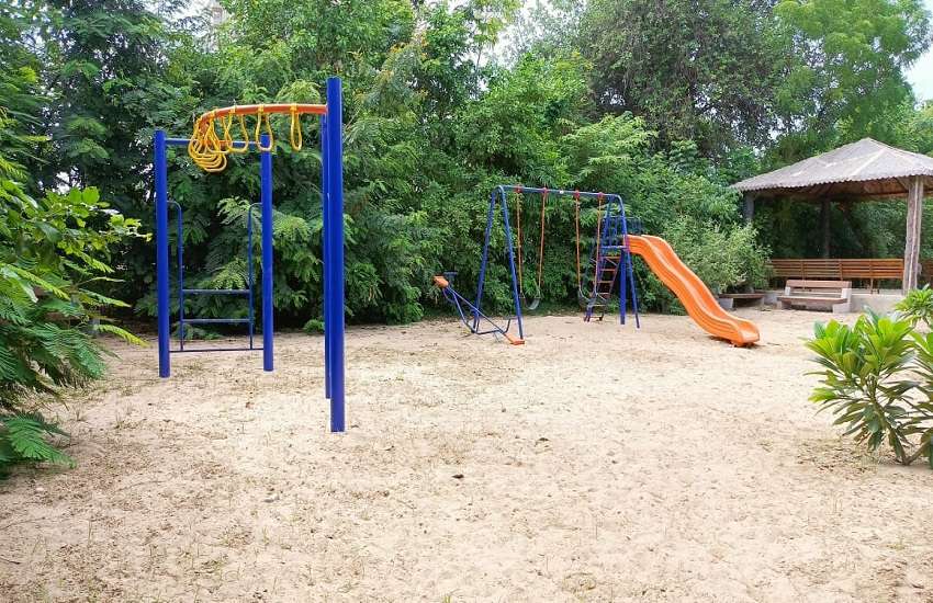 अहमदाबाद महानगर में मिनी वन का एहसास करा रहा उगती ऑक्सीजन पार्क