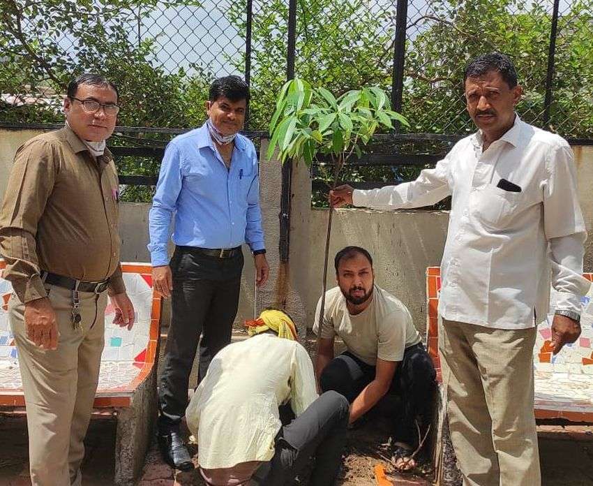 SURAT NEWS DAYRI: घर-घर जलाए दीप और की महाआरती