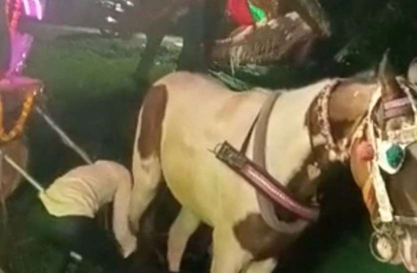बारात दूल्हे को लेकर दुल्हन लेने जा रही थी अचानक सामने आ गई प्रेमिका और फिर पुलिस भी पहुंची बारात दूल्हे को लेकर दुल्हन लेने जा रही थी अचानक सामने आ गई प्रेमिका और फिर पुलिस भी पहुंची