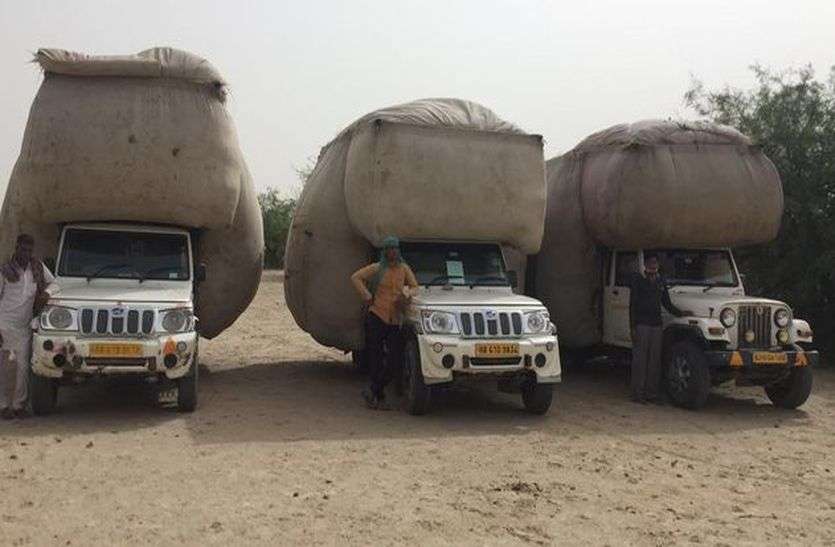 बीहड़ में पशुओं के लिए की चारे की व्यवस्था बीहड़ में पशुओं के लिए की चारे की व्यवस्था