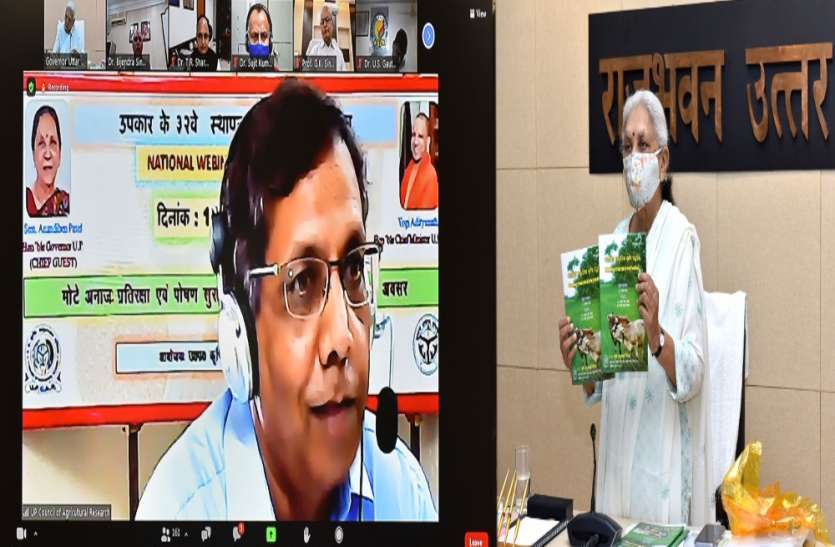 मोटे अनाजों के लिये नयी हरित क्रान्ति लाने की जरूरत-आनंदीबेन पटेल मोटे अनाजों के लिये नयी हरित क्रान्ति लाने की जरूरत-आनंदीबेन पटेल
