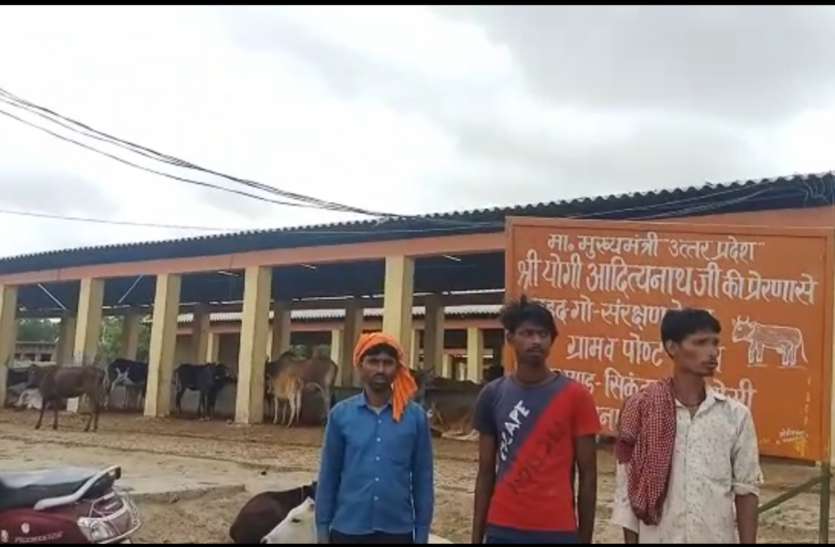 गौशाला के लिए विगत 4 माह से आवंटित नहीं हुआ बजट, व्यापारी भूसा, चारा देने से कर रहे इनकार गौशाला के लिए विगत 4 माह से आवंटित नहीं हुआ बजट, व्यापारी भूसा, चारा देने से कर रहे इनकार