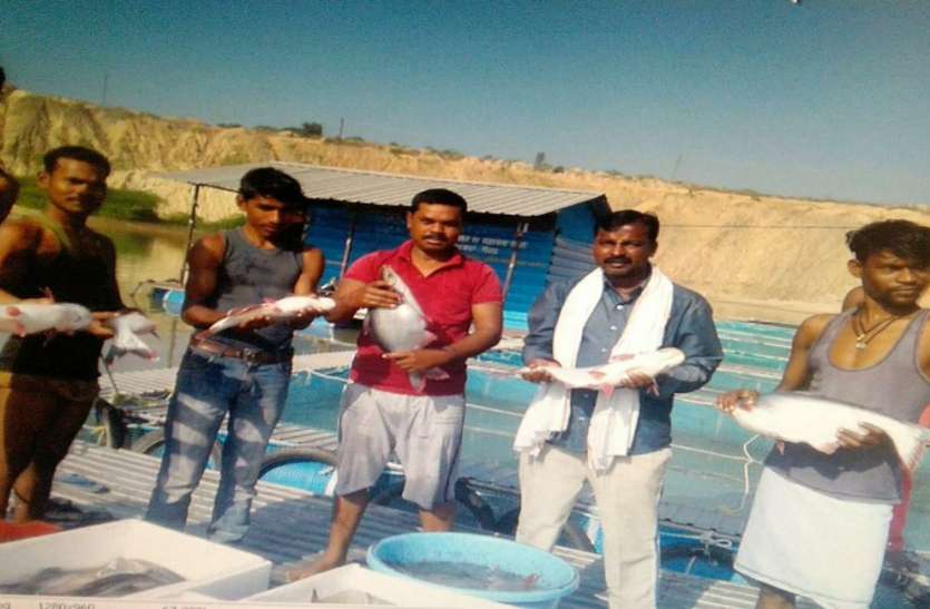 Fish farming will also be done in MNREGA ponds, fisheries department s मनरेगा के तालाबों में भी होगा मछली पालन, मत्स्य विभाग ने उपयोगी तालाबों की मांगी जानकारी