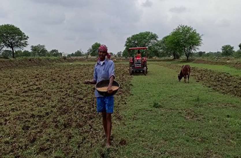 बोआई से पहले करें बीजों का उपचार व अंकुरण परीक्षण बोआई से पहले करें बीजों का उपचार व अंकुरण परीक्षण