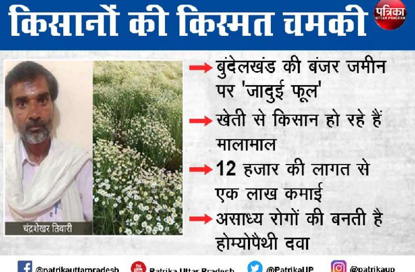 bundelkhand.jpg बुंदेलखंड की बंजर जमीन पर 'जादुई फूल' की खेती से किसान हो रहे मालामाल