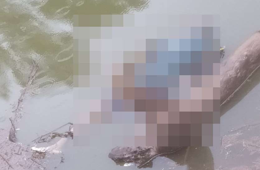 Young man dead body इस बात पर पत्नी से हुआ झगड़ा तो घर से निकल गया युवक, 3 दिन बाद तालाब में मिली लाश