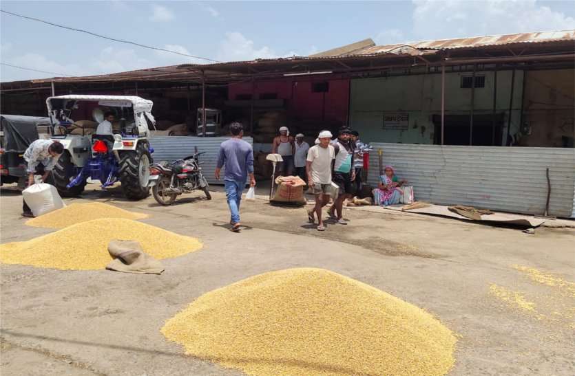 The weighbridges did not work without notice, the auction was stopped, after the notice returned to work from the afternoon बिना सूचना के तुलावटियों ने नहीं किया काम, रुकी रही नीलामी, नोटिस के बाद दोपहर से लौटे काम पर