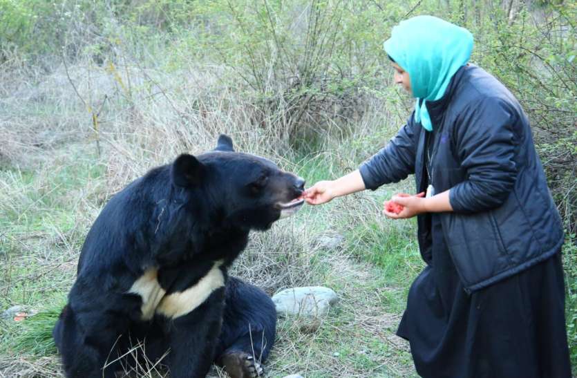 Meet Kashmir S First Wild Life Conservator Alia Meer म ल ए कश म र क पहल मह ल वन य ज व स रक षक आल आ म र स Patrika News