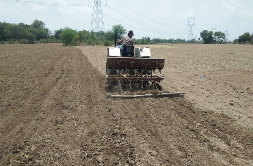 Farmers were disillusioned with the increase in the cost of soybean crop, sowing paddy and urad सोयाबीन फसल की लागत बढऩे से किसानों का मोह हुआ भंग, धान और उड़द की कर रहे बोवनी