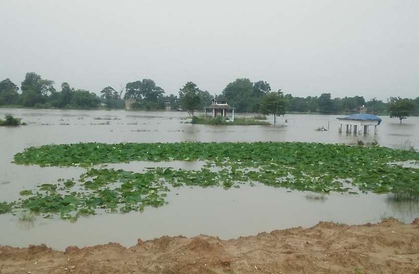 लगातार बारिश से जलमग्न गांव, सैकड़ों लोग हुए बेघर लगातार बारिश से जलमग्न गांव, सैकड़ों लोग हुए बेघर