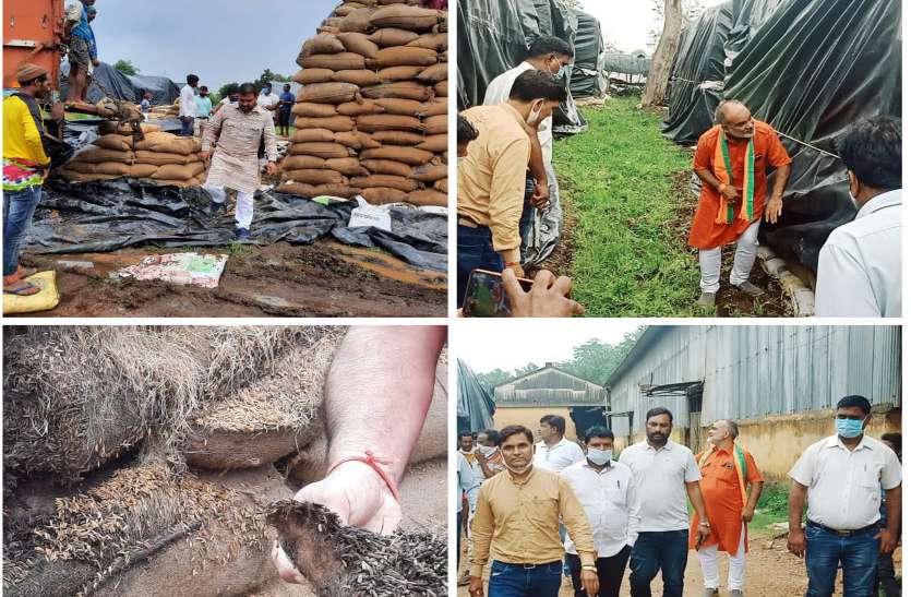 BJP kisan morcha भाजपा बोली- सरकार की लापरवाही से संग्रहण केंद्रों में खराब हो रहा धान, 8000 क्विंटल धान का अता-पता ही नहीं