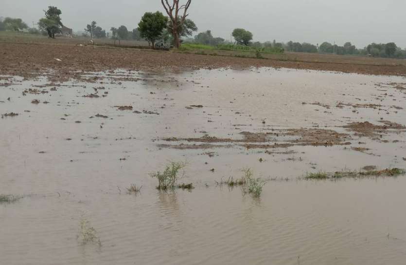 कहीं फुहारें तो कहीं रिमझिम बारिश कहीं फुहारें तो कहीं रिमझिम बारिश