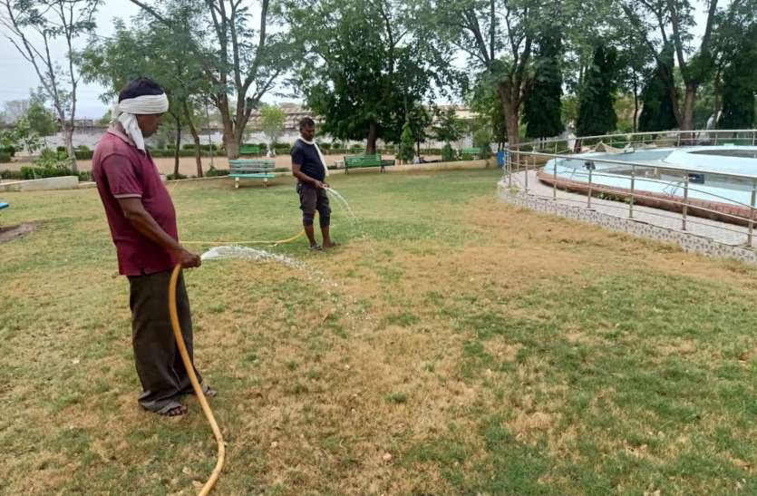 Purifying the dirty water of the city and using it in the garden, the plants bloom शहर के गंदे पानी को शुद्ध कर गार्डन में कर रहे उपयोग, खिल उठे मुरझाएं पौधें