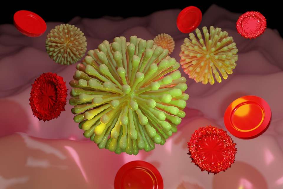covid-19 fungus