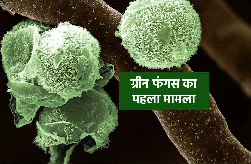 green1_6898557_835x547-m.png