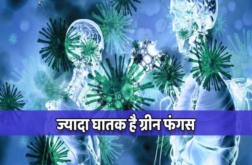 , Green Fungus: ये लक्षण दिखें तो न करें नजरअंदाज तुरंत करें डॉक्टर से संपर्क
