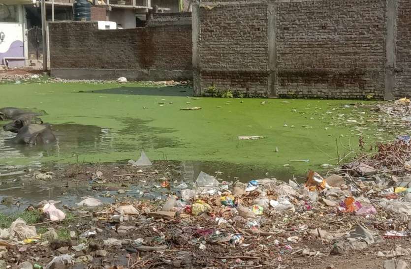 Danger of dengue and malaria after corona, health department formed teams कोरोना के बाद डेंगू और मलेरिया का खतरा, स्वास्थ्य विभाग ने बनाई टीमें