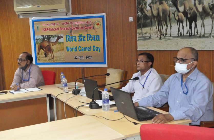 उष्ट्र प्रजाति के विकास और संरक्षण के लिए विश्व में उत्पादकता को बढ़ाएं उष्ट्र प्रजाति के विकास और संरक्षण के लिए विश्व में उत्पादकता को बढ़ाएं