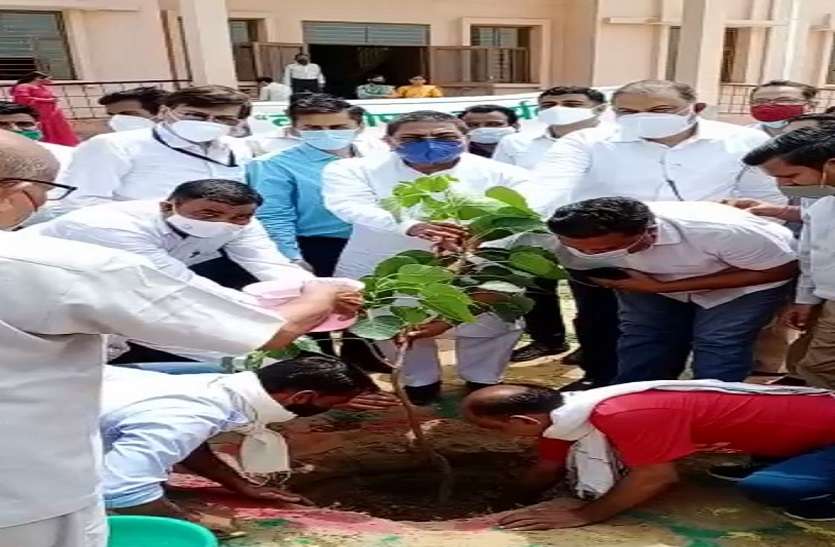 स्वयंसिद्धा परिसर में किया पौधरोपण स्वयंसिद्धा परिसर में किया पौधरोपण
