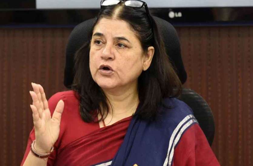 menka_gandhi.jpg पशुचिकित्सक से बदसलूकी पर घिर गईं मेनका गांधी, देशभर में फूटा डॉक्टरों का गुस्सा