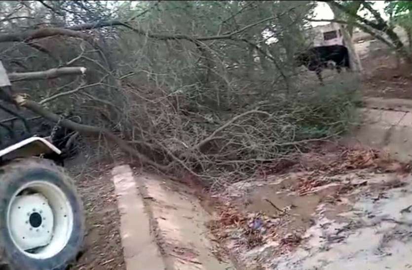 अंधड़ से नहरों में गिरे पेड़, टूटने की आशंका अंधड़ से नहरों में गिरे पेड़, टूटने की आशंका