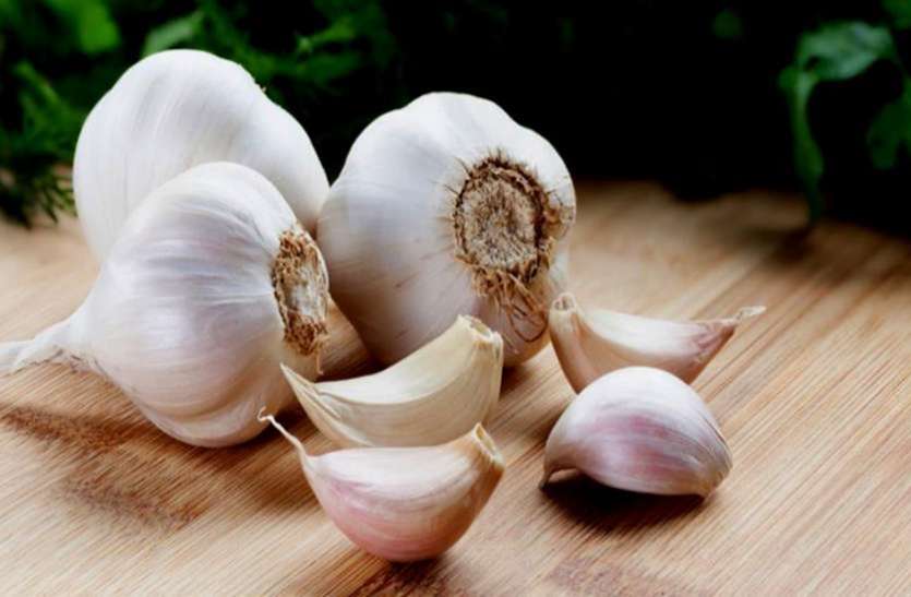 Garlic