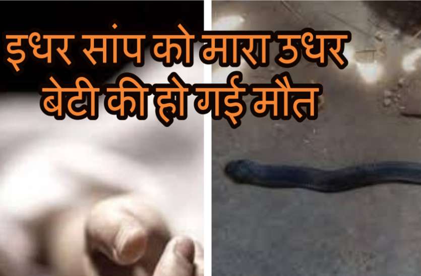 Death from snake bite युवा बेटी के कमरे में सांप को देख घरवालों ने मार डाला, कुछ देर बाद ही हो गई ये बड़ी अनहोनी