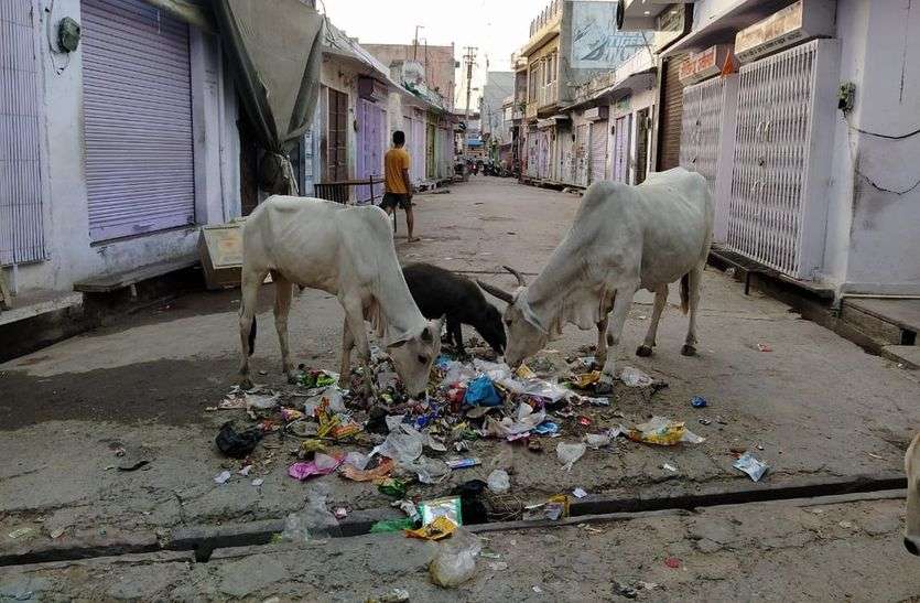 जगह-जगह लगे गंदगी के ढेर,कीचड़ से अटी नालियां जगह-जगह लगे गंदगी के ढेर,कीचड़ से अटी नालियां
