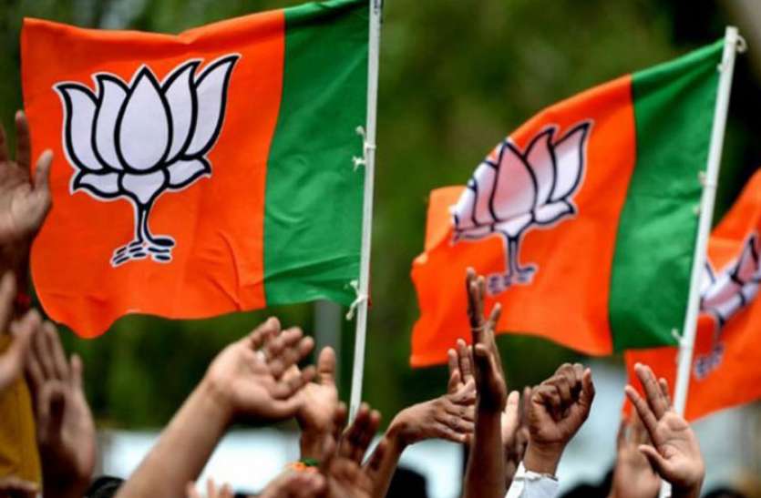 bjp.jpg भाजपा की नई कार्यकारिणी घोषित, देखें किस क्षेत्र का रहा दबदबा