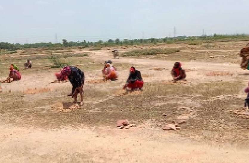 छह जॉब कार्ड पर एक श्रमिक को कार्य छह जॉब कार्ड पर एक श्रमिक को कार्य