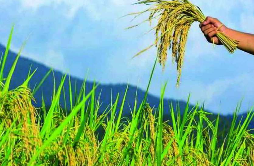 01_7.jpg फसल बीमा प्रचार-प्रसार वाहन को हरी झण्डी दिखाकर किया गया रवाना