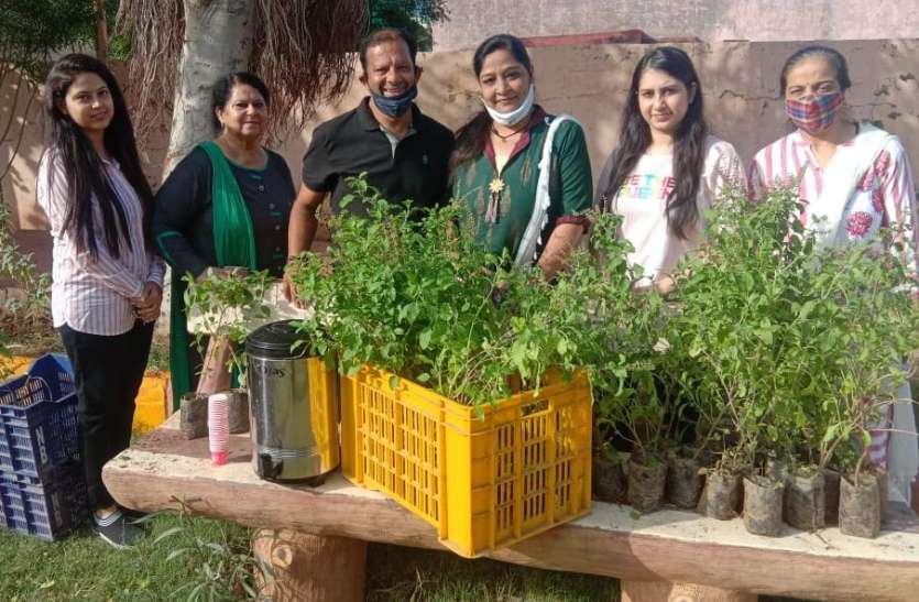 हाउसिंग बोर्ड में 151 तुलसी व 51 मीठी नीम के पौधें वितरित हाउसिंग बोर्ड में 151 तुलसी व 51 मीठी नीम के पौधें वितरित