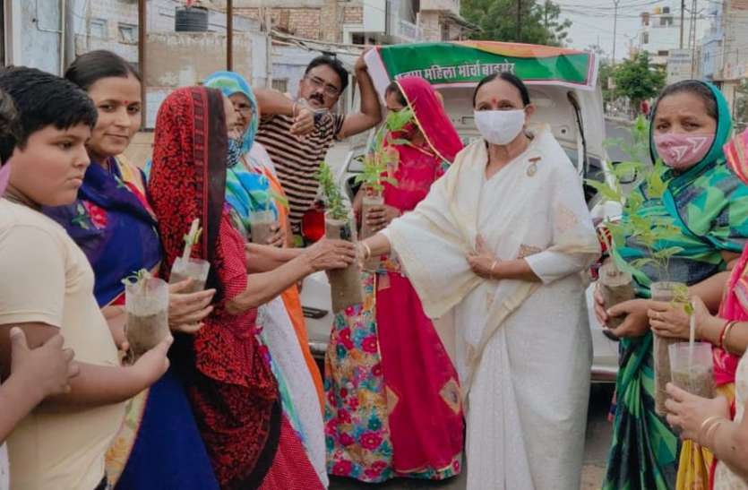 एक घर एक पौधा अभियान के तहत पौधे वितरित एक घर एक पौधा अभियान के तहत पौधे वितरित