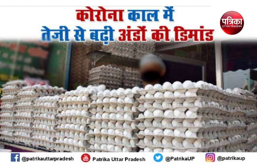 egg price increased कोरोना का खौफ रोजाना सवा करोड़ का अंडा खा रहे वाराणसी व आसपास के लाेेग