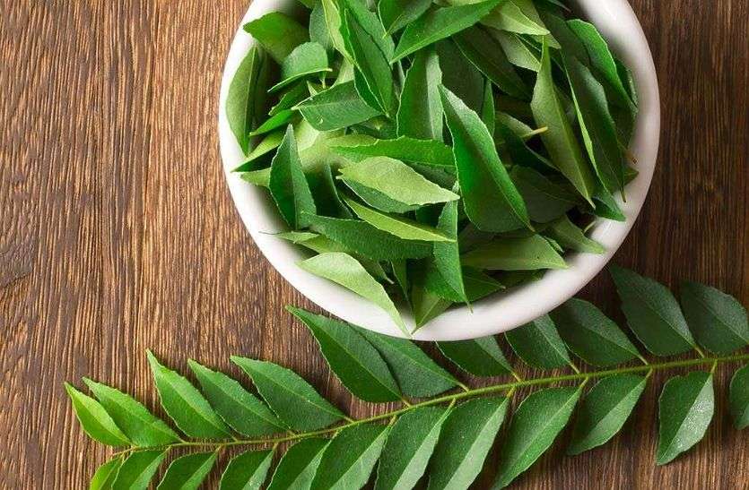 Curry leaves Curry Leaves :- पोषक तत्वों से भरपूर है करी पत्ता, इस तरह करें घर में उपयोग