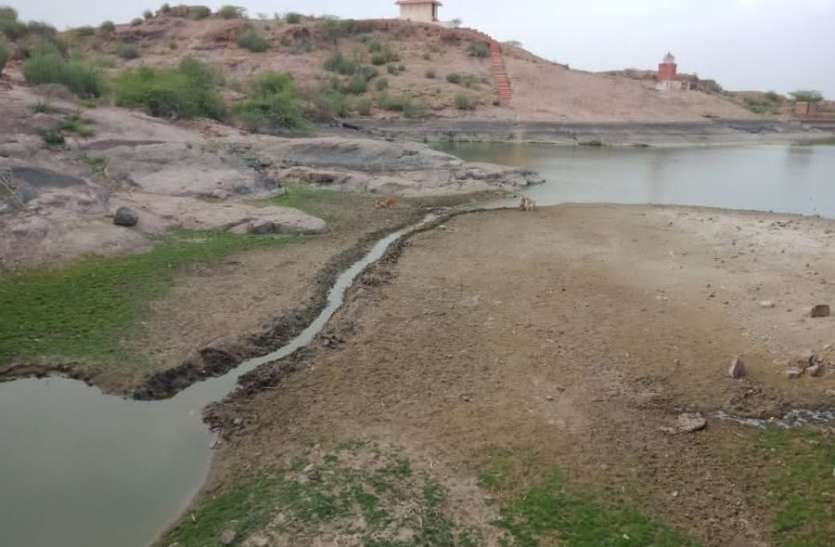 जलीय पक्षियों पर छाया दोहरा संकट कायलाना की प्यास बुझाने वाला तालाब हुआ प्यासा