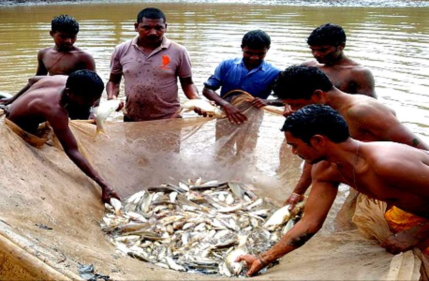 मछली पालन का झांसा, हरियाणा की कंपनी ने CG के 48 किसानों को लगाई 3 करोड़ की चपत, सदमे में एक किसान की मौत मछली पालन का झांसा, हरियाणा की कंपनी ने CG के 48 किसानों को लगाई 3 करोड़ की चपत, सदमे में एक किसान की मौत