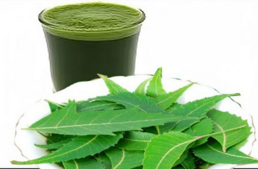 Health Benefits of Neem Juice Weight Loss: वजन घटाने के साथ ही सेहत के लिए भी बेहद फायदेमंद है नीम का जूस