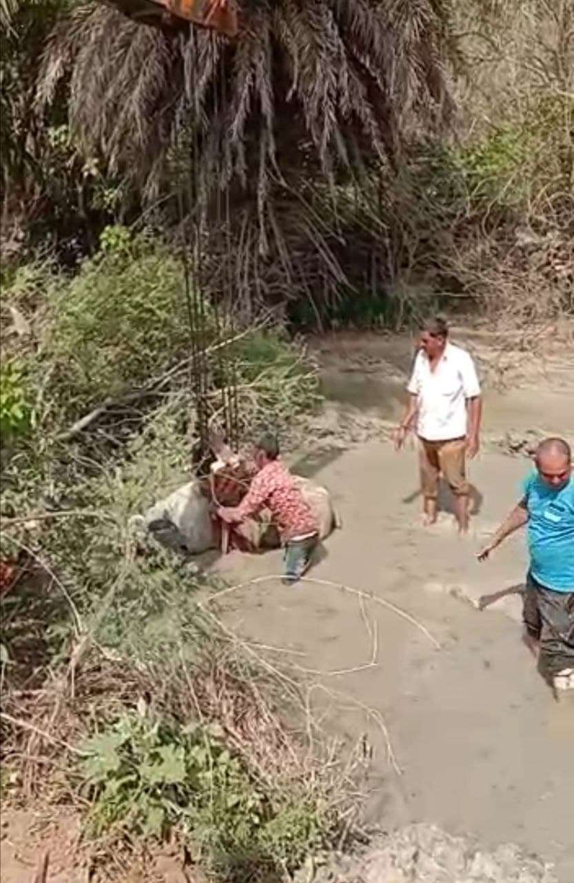 डाकन कोटड़ा के बोर का नाका तालाब में समाहित वेस्ट में फंसी भैंस को क्रेन के जरिए निकालते हुए।